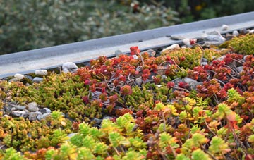 the cost of Bournville green roof installation