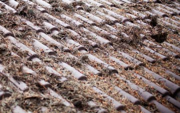 Bournville roof cleaning companies