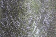 Bournville fibreglass roof work