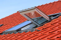 Bournville roof window